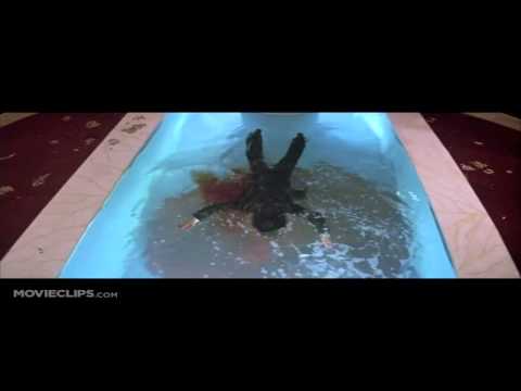 Akree - Liège Tox City