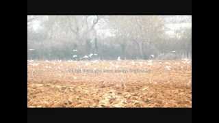 Flotation toy warning - Popstar researching oblivion