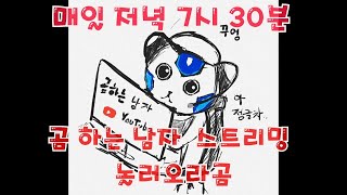 썸네일 이미지