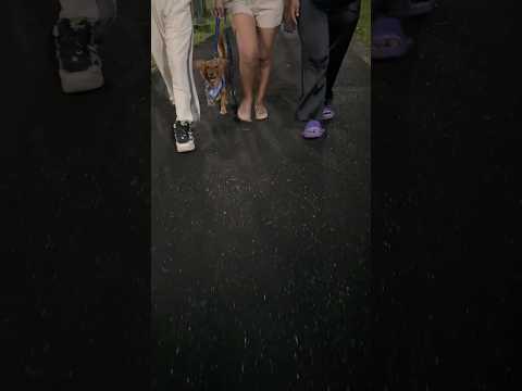 Compartiendo momentos 😆#napo #tena