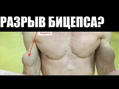 Бицепс растет. Не чувствую бицепс. Мужской бицепс. Круглый бицепс. Не чувствую бицепс.