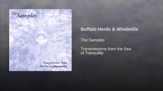 Buffalo Herds & Windmills