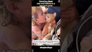 Download lagu Baby and cats🐱❤️ #cat #love #baby #funny #foryou mp3