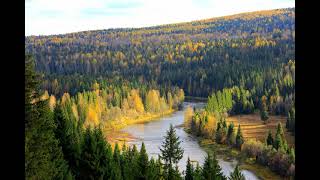 Nest - Far From Land (slowed + reverb)