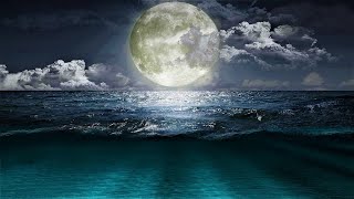 &quot; Surround Me..&quot; - Scott Stapp