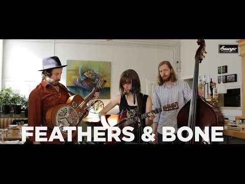 The Stray Birds - "Feathers & Bone"