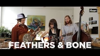 The Stray Birds - &quot;Feathers &amp; Bone&quot;