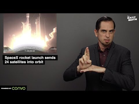 The Daily Moth 6-25-2019