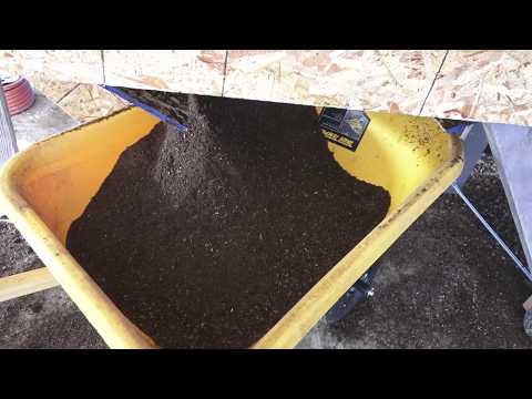 Feeding time at the worm farm a better finer grain food