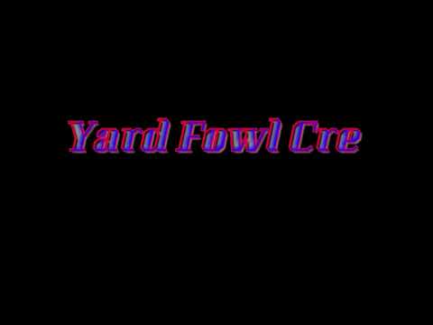 Yard Fowl Crew Dan It Up