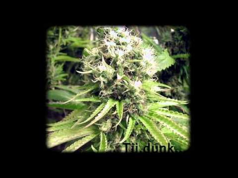 [extrait] Tii.dunk - zebe la (( TD.sound))