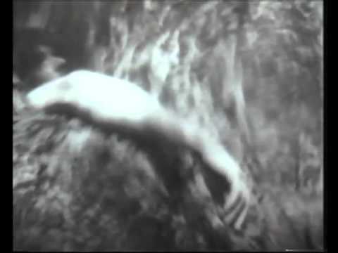 Gold Day - Sparklehorse
