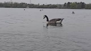 Beautiful video day out