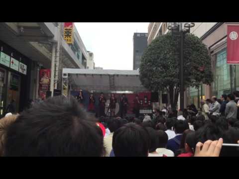 伊達アカ2015 椿 月のしずく