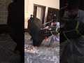 Bhains Ki Qurbani Shorts Viral Entertainment Buffalo