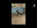Karakattam Kuthattam Dance Cinemadance