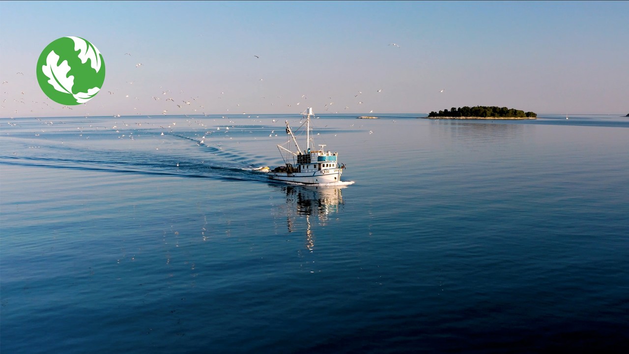 AI Monitoring in Industrial Fishing