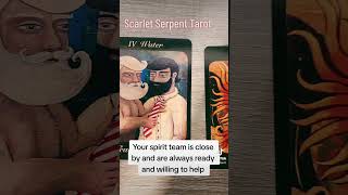 Mystery Message #shaman #tarot #tarotreading #tarotcardreading #tarotcards #spiritualguidance