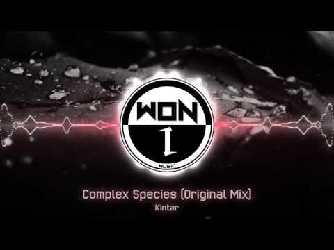 Kintar - Complex Species (Original Mix)