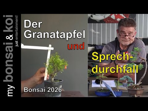 Bonsai 2026-1 - The Pomegranate and Speech Diarrhea