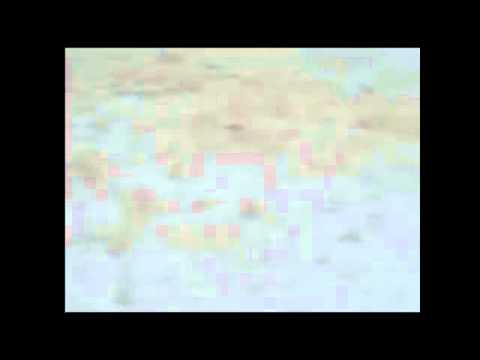 Cazare Brasov Ieftina - Cazat.ro