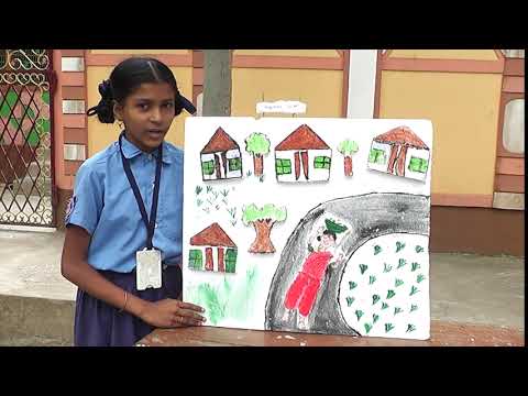 nature 7th class sujitha