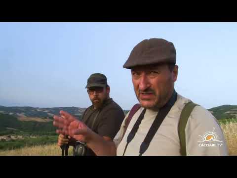 Caccia al Cinghiale in Toscana "Una Nuova Esperienza" #caccia #cinghiale #toscana #italia #passione