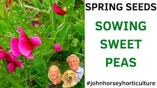 HOW TO SOW SWEET PEA SEEDS IN TOILET ROLLS - STEP BY STEP
