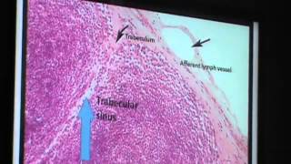 25) Dr.Gihan 12/04/2014 [Datashow : Nerve, Vascular system & Lymphatics]