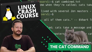 The cat Command in Linux (Featuring Real Cats) - Linux Crash Course Series