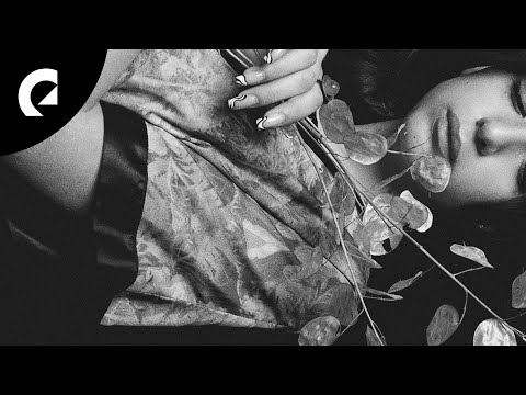 Candelion - Cotton and Strangers