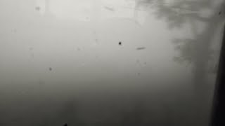 শীতের সকাল