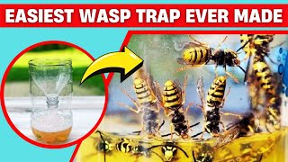 Download lagu How to Make A DIY Wasp Trap Easily 🐝✅ Safe for Kids & Pets! mp3