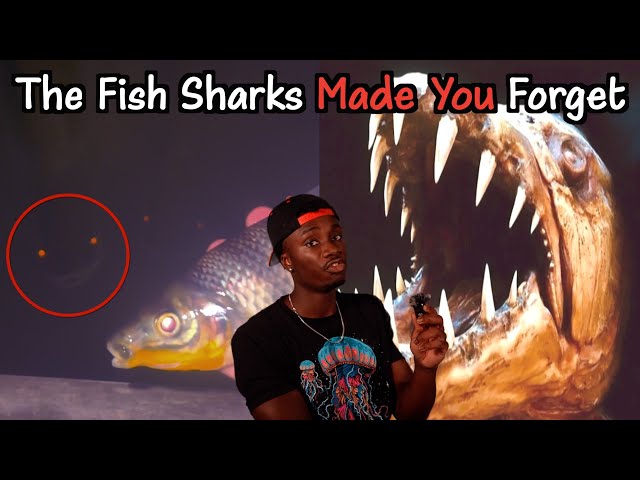 Why These Fish Belong in a Horror Movie More Than Sharks SDDEFAULT Thumbnail