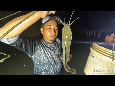 EP772-P1 - Tiba Tiba sa Patukba | Occ. Mindoro