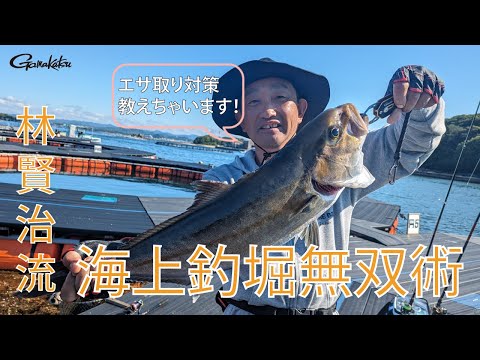 “林賢治流”海上釣堀でのエサ取り回避術！～エサ取りを避けて高級魚無双～