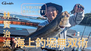 “林賢治流”海上釣堀でのエサ取り回避術！～エサ取りを避けて高級魚無双～