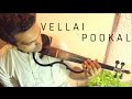Vellai Pookkal A R Rahman STRINGS Cover Keethan Manoj Ábel Caroline