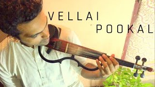 Vellai Pookkal - AR Rahman  STRINGS Cover - Keetha