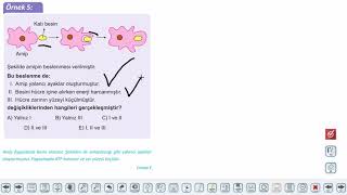 Eğitim Vadisi 9.Sınıf Biyoloji 9.Föy Hücre Zarından Madde Geçişleri Konu Anlatım Videoları