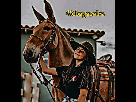 ELA PARTIU... O BAGACEIRA #elapartiu