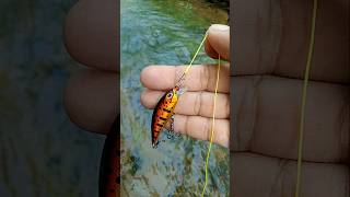Download lagu Tips - cara memasang umpan minnow #umpan #minnow #lure #fishing mp3