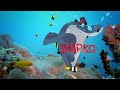 Zig And Sharko English Intro