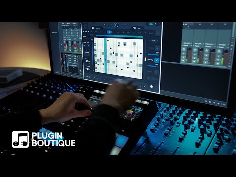 Get Inspired with Riffer by Audiomodern