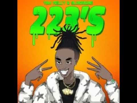223s YNW melly ft 9lokknine low pitched