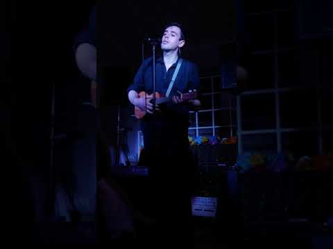 Will Wood - Cicada Days