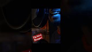 Canibus x Vinegar OTG #chicagopodcast #culture #podcast #nerd #edutainment #hiphop