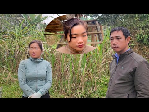 Hong was very upset when her chickens suddenly disappeared. Hoi came to help her.