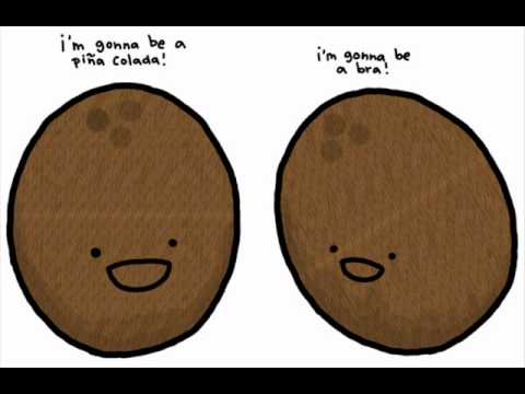 Bill Baylis and Simon Stewart - She's My Coconut