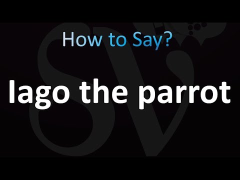 How to Pronounce Iago the parrot
